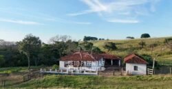 Fazenda à Venda de 117 Alqueires para Pecuária de Alta Performance | Presidente Alves/SP