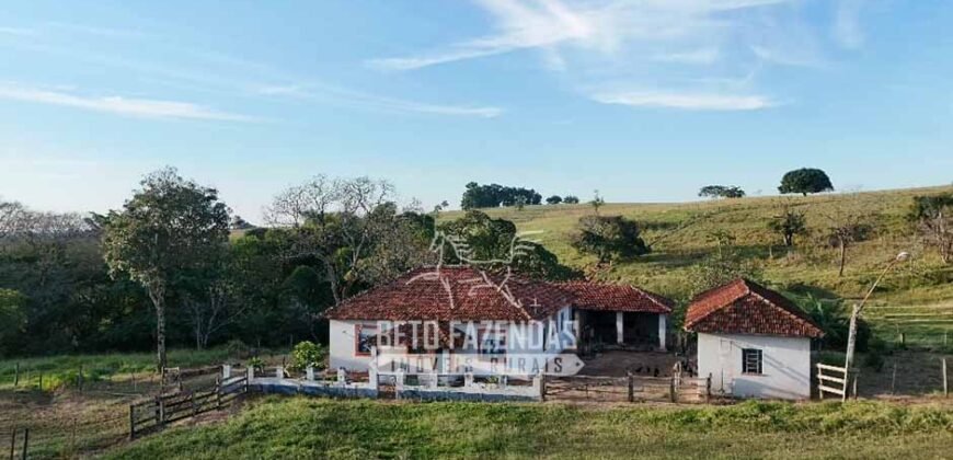 Fazenda à Venda de 117 Alqueires para Pecuária de Alta Performance | Presidente Alves/SP