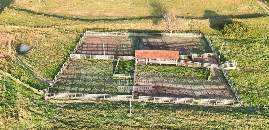 Fazenda à Venda de 117 Alqueires para Pecuária de Alta Performance | Presidente Alves/SP