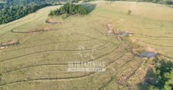 Fazenda à Venda de 117 Alqueires para Pecuária de Alta Performance | Presidente Alves/SP