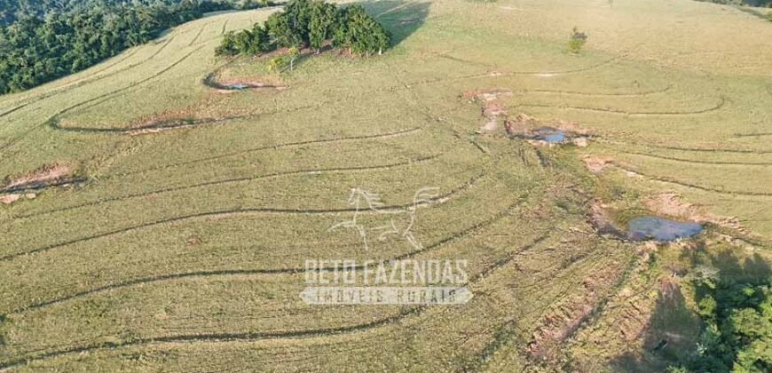 Fazenda à Venda de 117 Alqueires para Pecuária de Alta Performance | Presidente Alves/SP