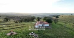 Fazenda à Venda de 117 Alqueires para Pecuária de Alta Performance | Presidente Alves/SP