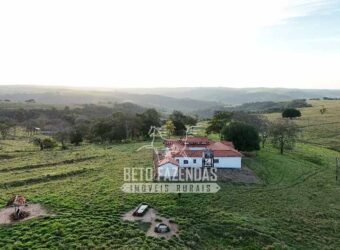 Fazenda à Venda de 117 Alqueires para Pecuária de Alta Performance | Presidente Alves/SP