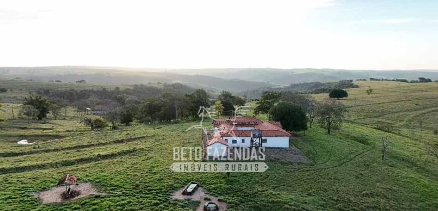 Fazenda à Venda de 117 Alqueires para Pecuária de Alta Performance | Presidente Alves/SP
