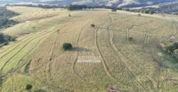 Fazenda à Venda de 117 Alqueires para Pecuária de Alta Performance | Presidente Alves/SP