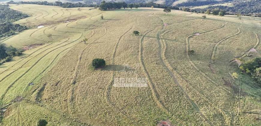 Fazenda à Venda de 117 Alqueires para Pecuária de Alta Performance | Presidente Alves/SP