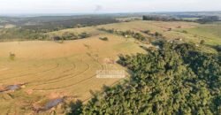 Fazenda à Venda de 117 Alqueires para Pecuária de Alta Performance | Presidente Alves/SP