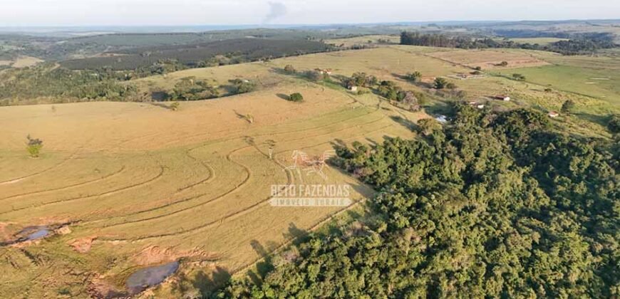 Fazenda à Venda de 117 Alqueires para Pecuária de Alta Performance | Presidente Alves/SP