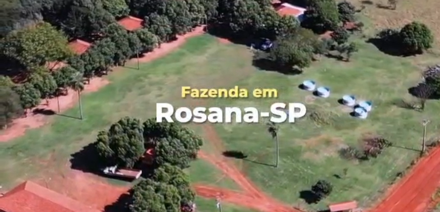 Fazenda à Venda 1.356 Hectares Estrutura Completa Pecuária | Rosana/SP