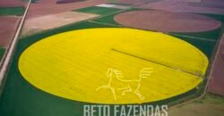 Fazenda de Café de 3.550 Has Altíssimo Padrão na Cafeicultura Irrigada | Buritizeiro / MG Fazenda de Café de 3.550 Has Altíssimo Padrão na Cafeicultura Irrigada | Buritizeiro / MG
