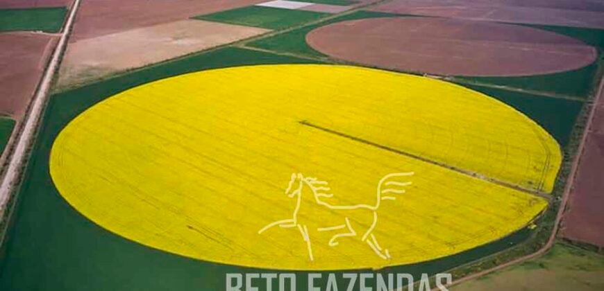 Fazenda de Café de 3.550 Has Altíssimo Padrão na Cafeicultura Irrigada | Buritizeiro / MG Fazenda de Café de 3.550 Has Altíssimo Padrão na Cafeicultura Irrigada | Buritizeiro / MG