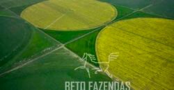 Fazenda de Café de 3.550 Has Altíssimo Padrão na Cafeicultura Irrigada | Buritizeiro / MG Fazenda de Café de 3.550 Has Altíssimo Padrão na Cafeicultura Irrigada | Buritizeiro / MG