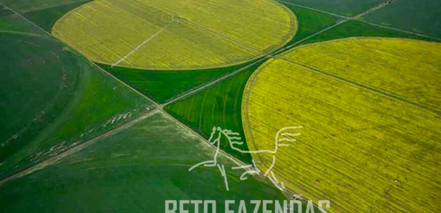 Fazenda de Café de 3.550 Has Altíssimo Padrão na Cafeicultura Irrigada | Buritizeiro / MG Fazenda de Café de 3.550 Has Altíssimo Padrão na Cafeicultura Irrigada | Buritizeiro / MG