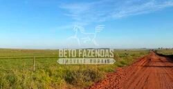 Fazenda à Venda 1.356 Hectares Estrutura Completa Pecuária | Rosana/SP