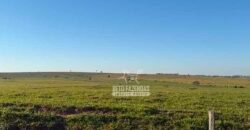 Fazenda à Venda 1.356 Hectares Estrutura Completa Pecuária | Rosana/SP