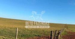 Fazenda à Venda 1.356 Hectares Estrutura Completa Pecuária | Rosana/SP