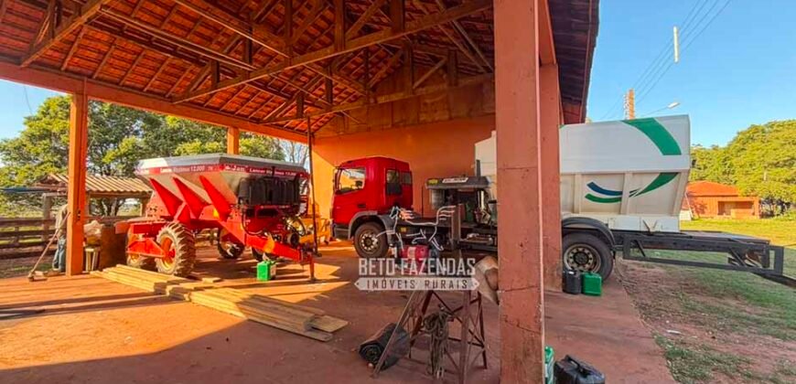 Fazenda à Venda 1.356 Hectares Estrutura Completa Pecuária | Rosana/SP
