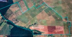 Fazenda à Venda 1.356 Hectares Estrutura Completa Pecuária | Rosana/SP
