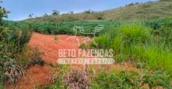 Fazenda de Café e Soja à Venda 88 hectares Certificada | Vargem Bonita/MG Fazenda de Café e Soja à Venda 88 hectares Certificada | Vargem Bonita/MG