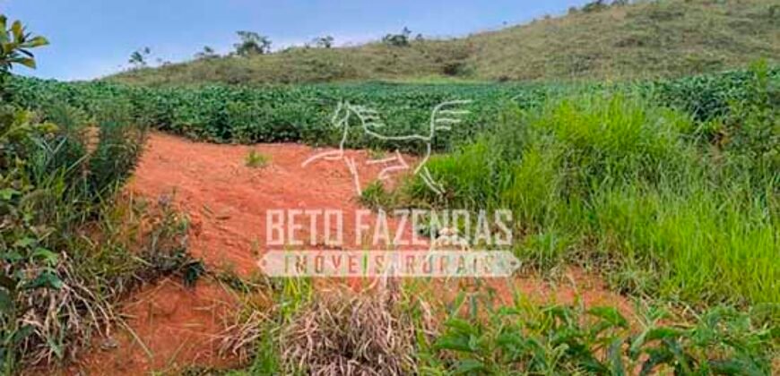 Fazenda de Café e Soja à Venda 88 hectares Certificada | Vargem Bonita/MG Fazenda de Café e Soja à Venda 88 hectares Certificada | Vargem Bonita/MG
