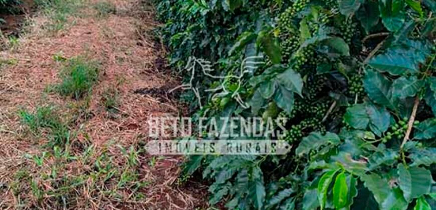 Fazenda de Café e Soja à Venda 88 hectares Certificada | Vargem Bonita/MG Fazenda de Café e Soja à Venda 88 hectares Certificada | Vargem Bonita/MG