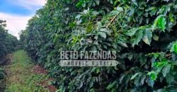 Fazenda de Café e Soja à Venda 88 hectares Certificada | Vargem Bonita/MG Fazenda de Café e Soja à Venda 88 hectares Certificada | Vargem Bonita/MG