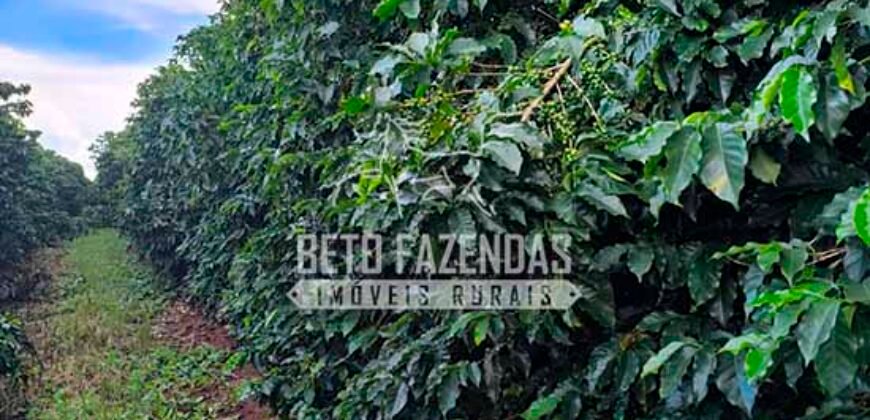 Fazenda de Café e Soja à Venda 88 hectares Certificada | Vargem Bonita/MG Fazenda de Café e Soja à Venda 88 hectares Certificada | Vargem Bonita/MG