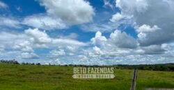 Fazenda de Soja E Pecuária à Venda 1.510 Has Alto Padrão no Agronegócio | Itarumã/ GO