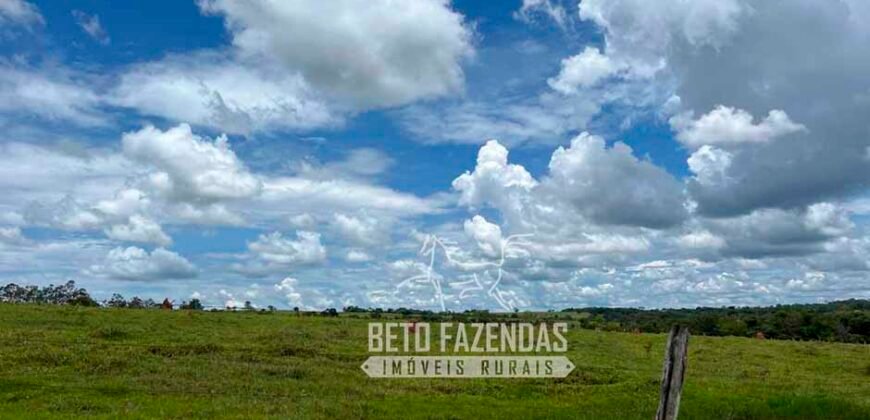 Fazenda de Soja E Pecuária à Venda 1.510 Has Alto Padrão no Agronegócio | Itarumã/ GO
