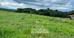 Fazenda de Soja E Pecuária à Venda 1.510 Has Alto Padrão no Agronegócio | Itarumã/ GO