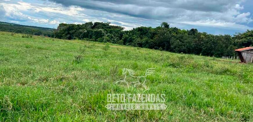 Fazenda de Soja E Pecuária à Venda 1.510 Has Alto Padrão no Agronegócio | Itarumã/ GO