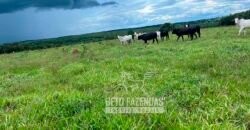 Fazenda de Soja E Pecuária à Venda 1.510 Has Alto Padrão no Agronegócio | Itarumã/ GO