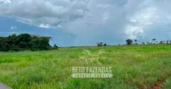 Fazenda de Soja E Pecuária à Venda 1.510 Has Alto Padrão no Agronegócio | Itarumã/ GO