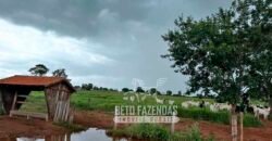 Fazenda de Soja E Pecuária à Venda 1.510 Has Alto Padrão no Agronegócio | Itarumã/ GO