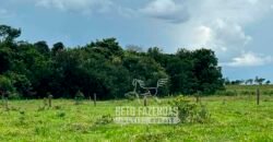 Fazenda de Soja E Pecuária à Venda 1.510 Has Alto Padrão no Agronegócio | Itarumã/ GO