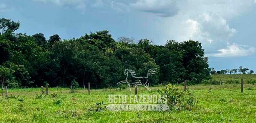 Fazenda de Soja E Pecuária à Venda 1.510 Has Alto Padrão no Agronegócio | Itarumã/ GO