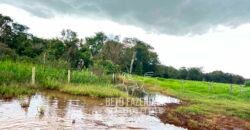 Fazenda de Soja E Pecuária à Venda 1.510 Has Alto Padrão no Agronegócio | Itarumã/ GO