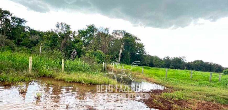 Fazenda de Soja E Pecuária à Venda 1.510 Has Alto Padrão no Agronegócio | Itarumã/ GO
