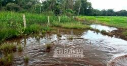 Fazenda de Soja E Pecuária à Venda 1.510 Has Alto Padrão no Agronegócio | Itarumã/ GO