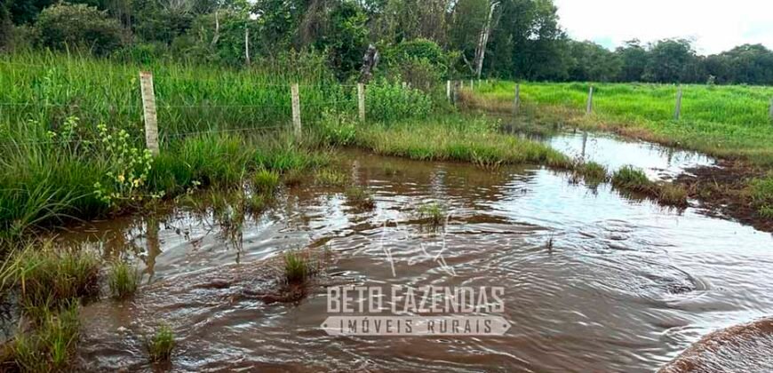 Fazenda de Soja E Pecuária à Venda 1.510 Has Alto Padrão no Agronegócio | Itarumã/ GO