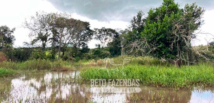 Fazenda de Soja E Pecuária à Venda 1.510 Has Alto Padrão no Agronegócio | Itarumã/ GO