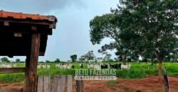 Fazenda de Soja E Pecuária à Venda 1.510 Has Alto Padrão no Agronegócio | Itarumã/ GO