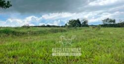 Fazenda de Soja E Pecuária à Venda 1.510 Has Alto Padrão no Agronegócio | Itarumã/ GO