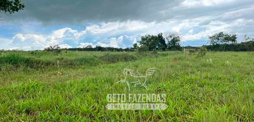 Fazenda de Soja E Pecuária à Venda 1.510 Has Alto Padrão no Agronegócio | Itarumã/ GO
