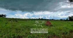 Fazenda de Soja E Pecuária à Venda 1.510 Has Alto Padrão no Agronegócio | Itarumã/ GO