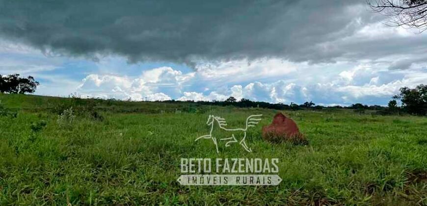 Fazenda de Soja E Pecuária à Venda 1.510 Has Alto Padrão no Agronegócio | Itarumã/ GO