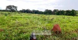 Fazenda de Soja E Pecuária à Venda 1.510 Has Alto Padrão no Agronegócio | Itarumã/ GO