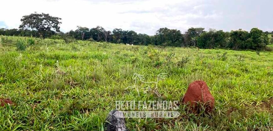 Fazenda de Soja E Pecuária à Venda 1.510 Has Alto Padrão no Agronegócio | Itarumã/ GO