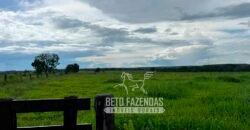 Fazenda de Soja E Pecuária à Venda 1.510 Has Alto Padrão no Agronegócio | Itarumã/ GO