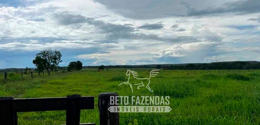 Fazenda de Soja E Pecuária à Venda 1.510 Has Alto Padrão no Agronegócio | Itarumã/ GO